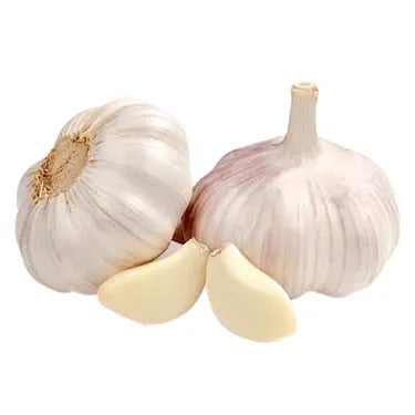 GARLIC