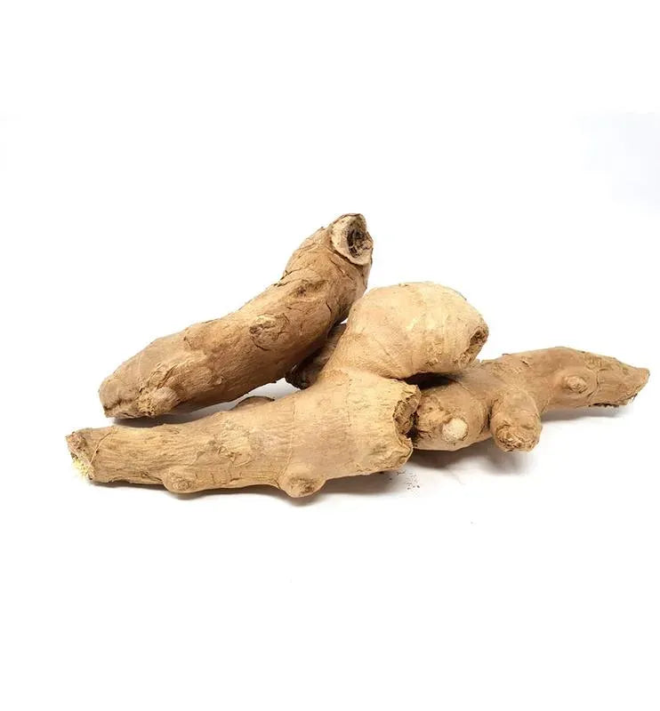 GINGER
