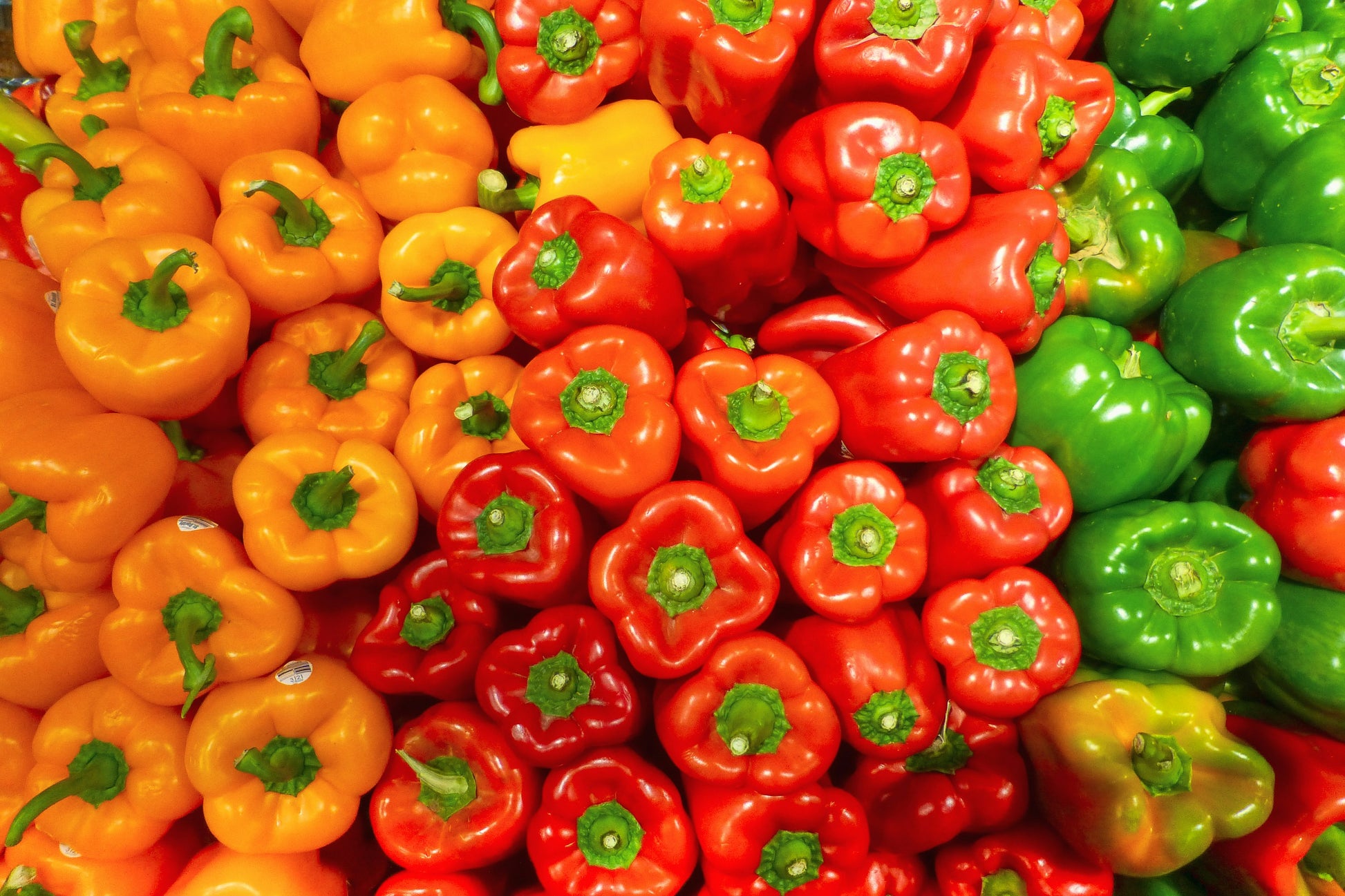 BELL PEPPER