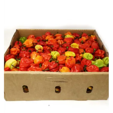 SCOTCH BONNET